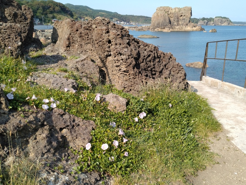 帆掛島