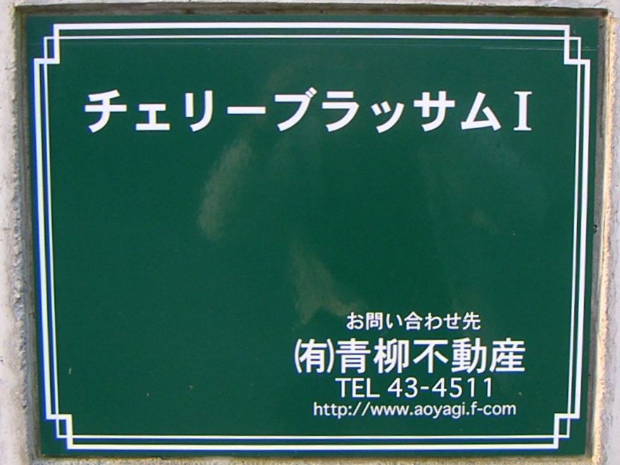 チェリーブラッサムⅠ