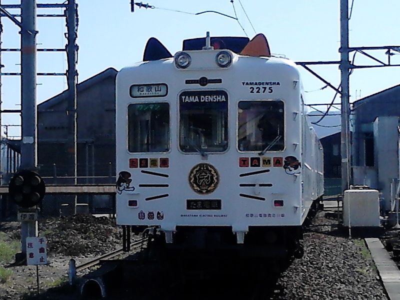 たま電車