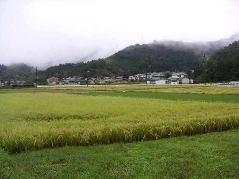 東深瀬
