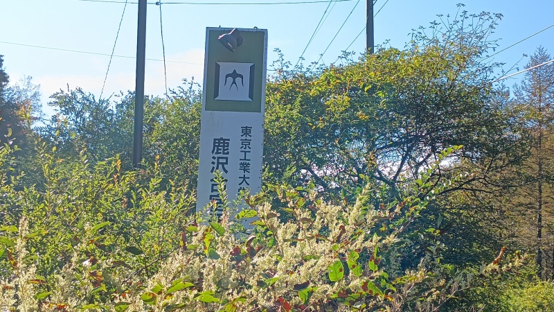 タワーサイン