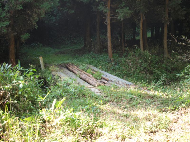 木橋