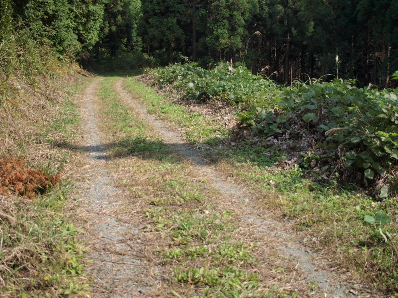 小木津山林道